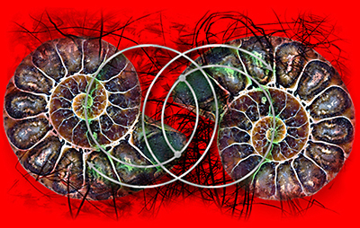 &copy; Dieter Telfser 2005. <a href="http://telfser.com/stories/3475/">Motivation als Rotationsmodell.</a> Risikominimierung als azyklische Kraft, die st&auml;rker scheint als alle visuellen Techniken dieser Welt. W&uuml;nsche fahren – Tr&auml;ume schieben als sich widersprechende, trotzende, daf&uuml;r aber vitalisierende Organisationstexturen. Straffheit gegen knackiges Management dem Zufall entgegen.